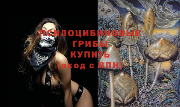 прущая мука Мегион