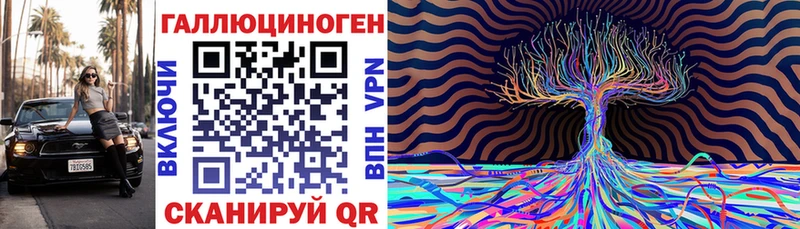 Купить  Лагань  Псилоцибиновые грибы мицелий 